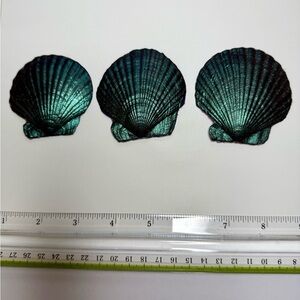 Decorative Shells. Teal Seashell Embellishments.